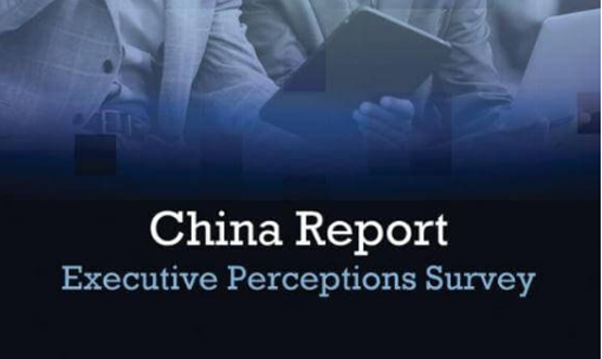2014 BlueSteps China Executive Perceptions Report
