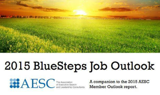 2015 BlueSteps Job Outlook Report