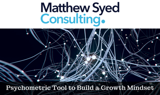 Matthew Syed Consulting: Mindset Advantage Assessment & Personalized Report