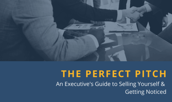 The Perfect Pitch: An Executive's Guide to Selling Yourself & Getting Noticed